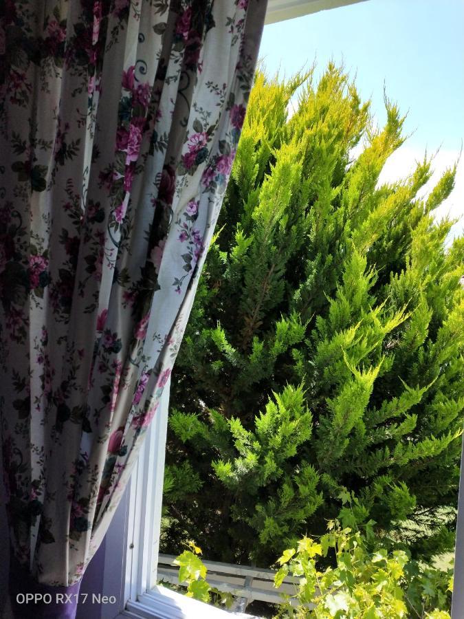 Maviev Otel Cesme Bagian luar foto